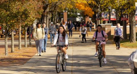 A bike rider on Appian Way